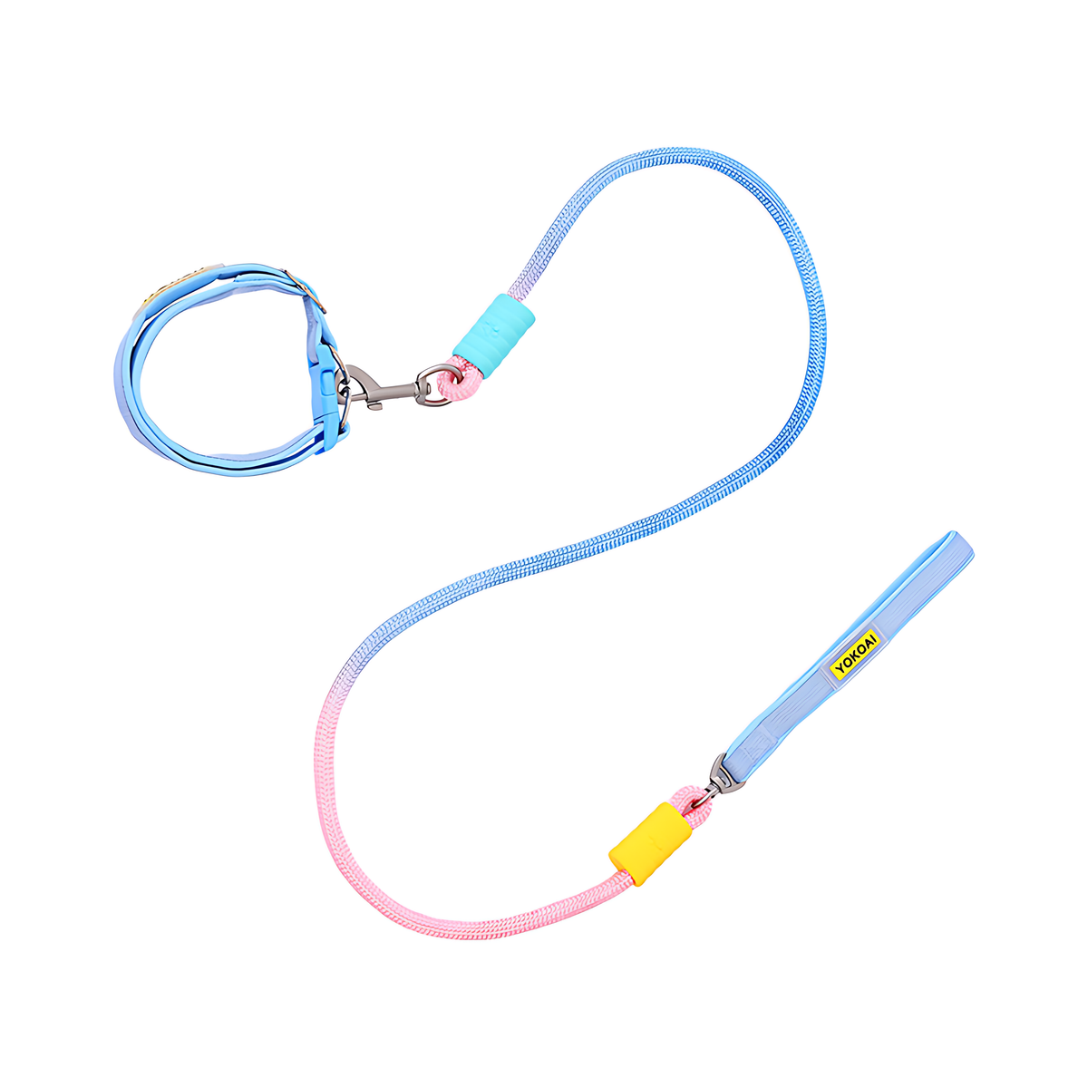 Hundeleine mit Halsband