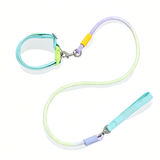 Hundeleine mit Halsband