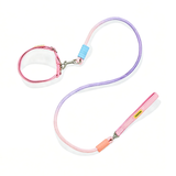 Hundeleine mit Halsband