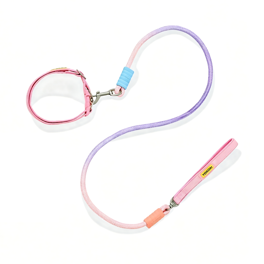 Hundeleine mit Halsband