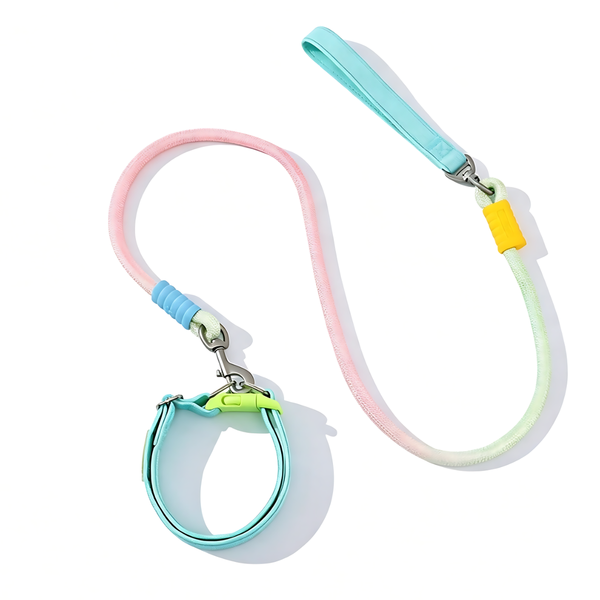 Hundeleine mit Halsband