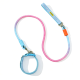 Hundeleine mit Halsband