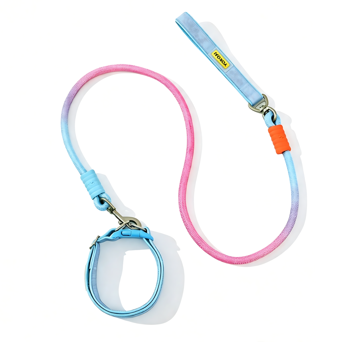 Hundeleine mit Halsband