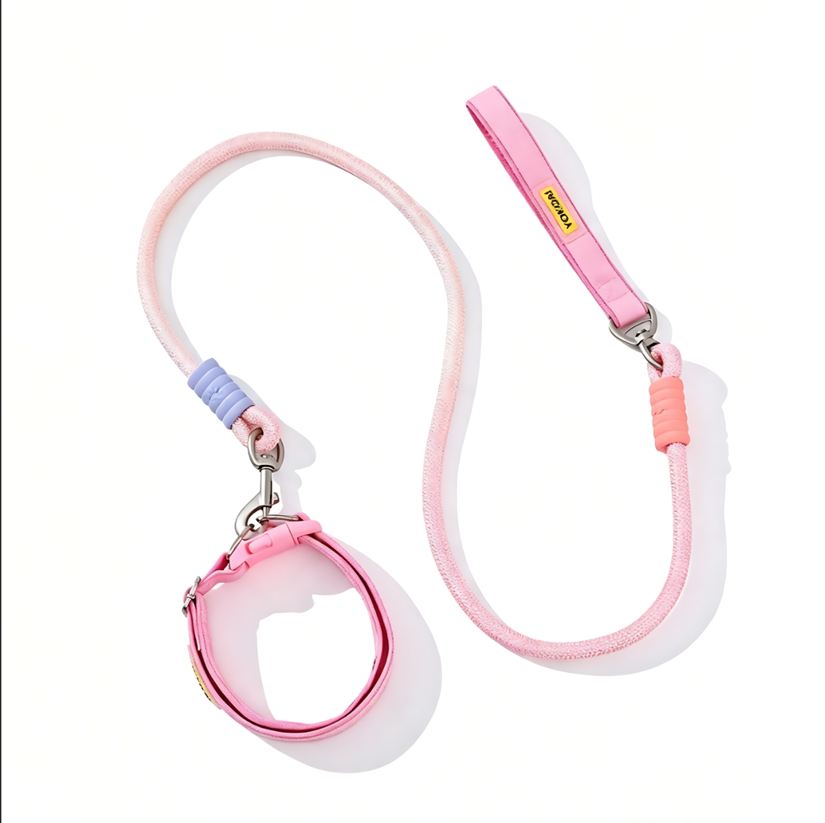 Hundeleine mit Halsband