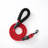 Pet supplies - Proof Reflective Pet Leash