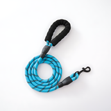 Pet supplies - Proof Reflective Pet Leash