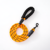 Pet supplies - Proof Reflective Pet Leash