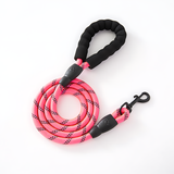Pet supplies - Proof Reflective Pet Leash