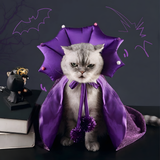 Pet supplies - The witch‘s cape