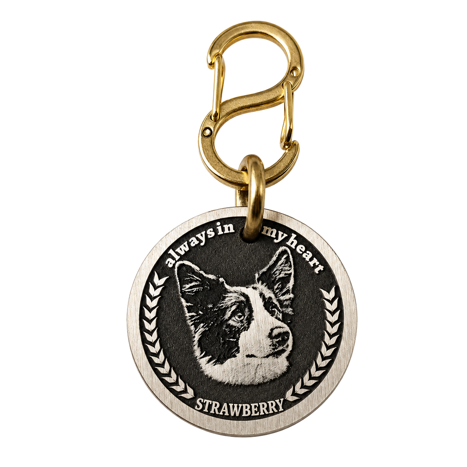 Spaces for your pets , made for life.
