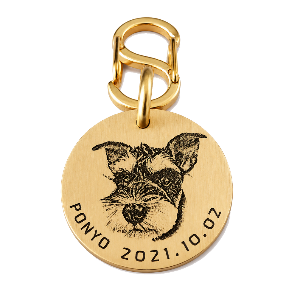 Spaces for your pets , made for life.
